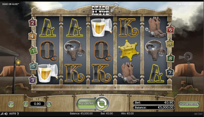 Dead Or Alive slot game artwork