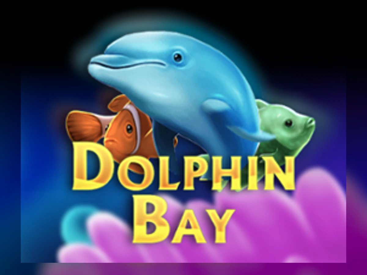 Dolphin Bay slot game artwork
