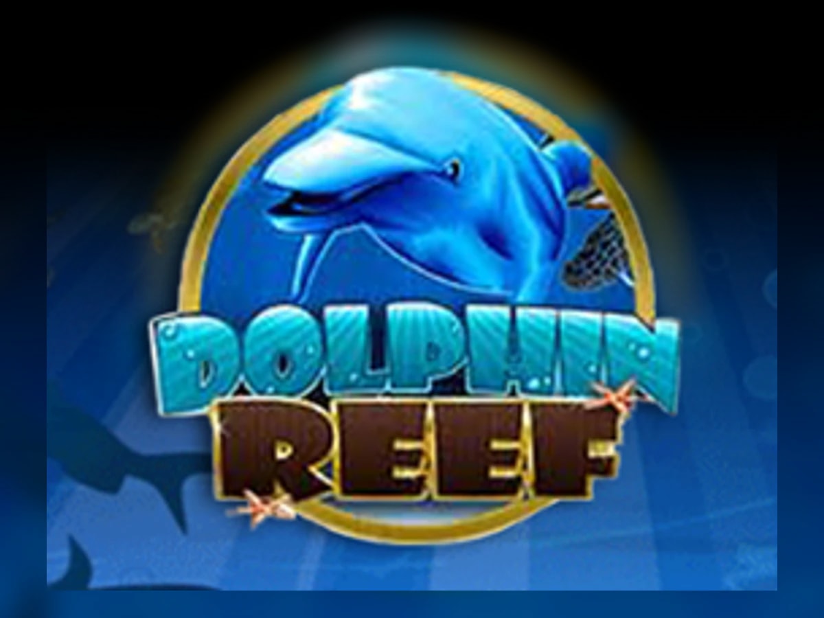 Dolphin reef slot game artwork