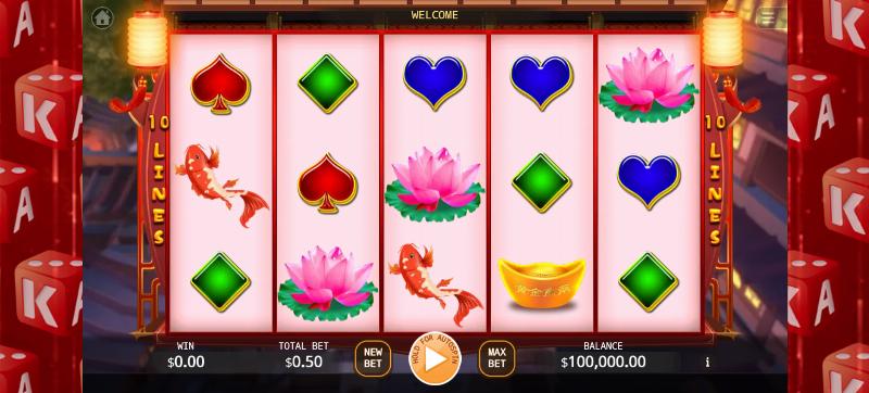 Double Fortune slot game artwork