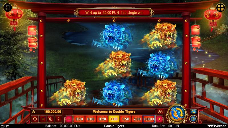 Double Tigers slot game artwork