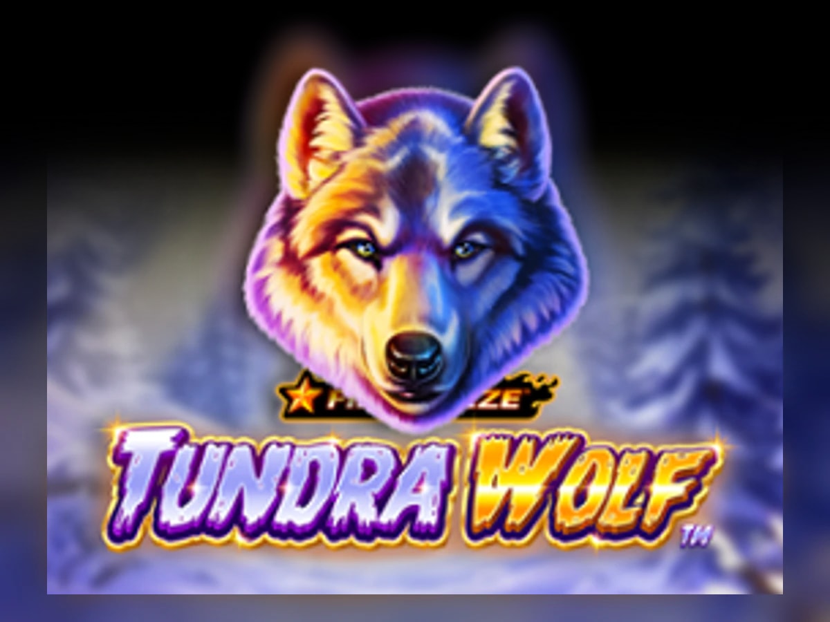 Fire Blaze: Tundra Wolf slot game artwork