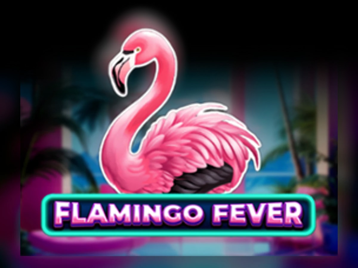 Flamingo Fever slot game artwork