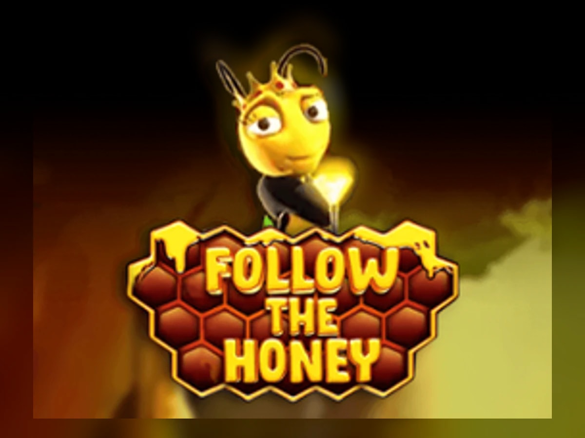 Follow the Honey slot game artwork
