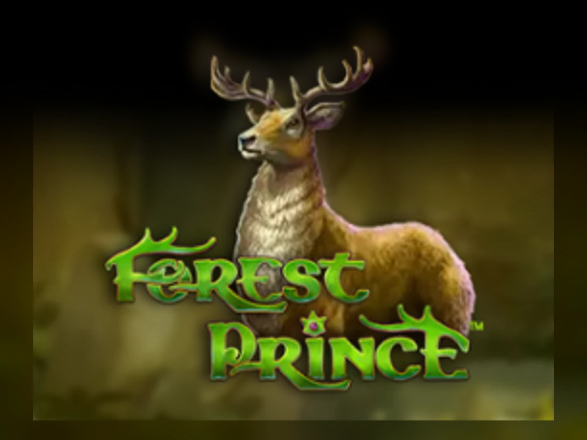 Forest Prince slot game artwork