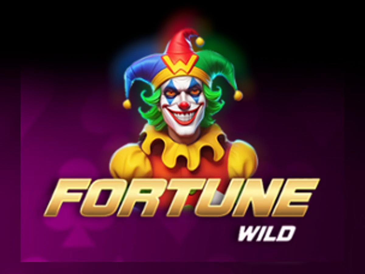 Fortune Wild slot game artwork