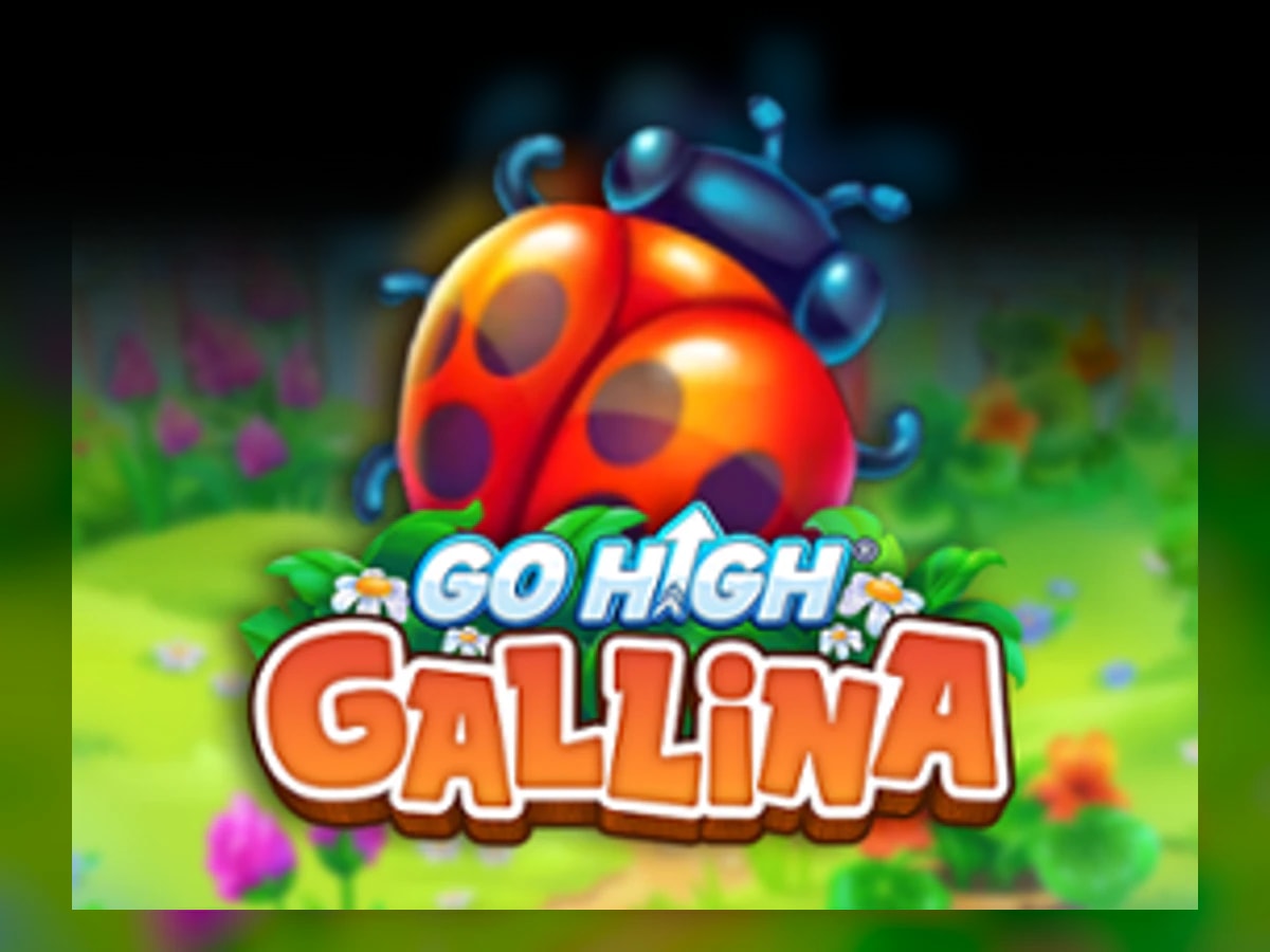 Go High Gallina slot game artwork
