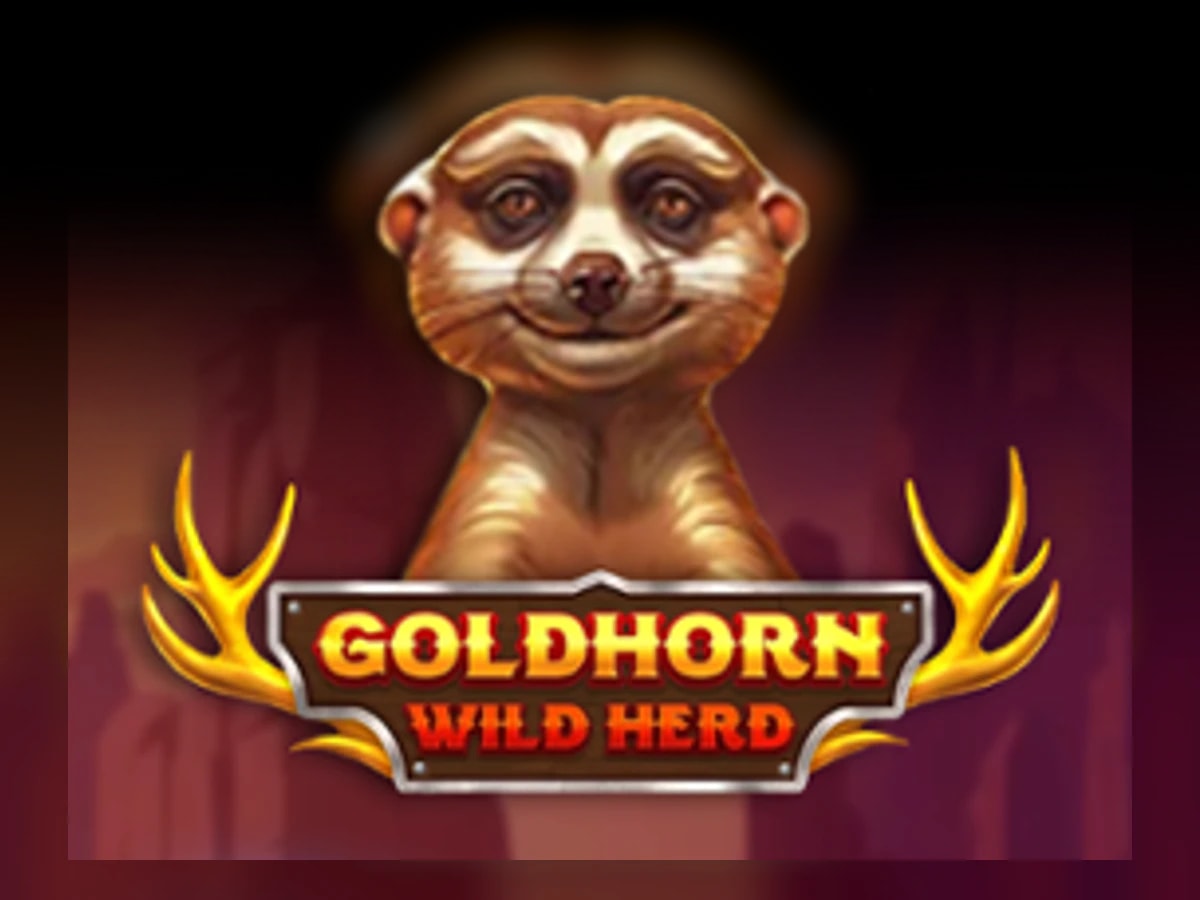 Goldhorn Wild Herd slot game artwork