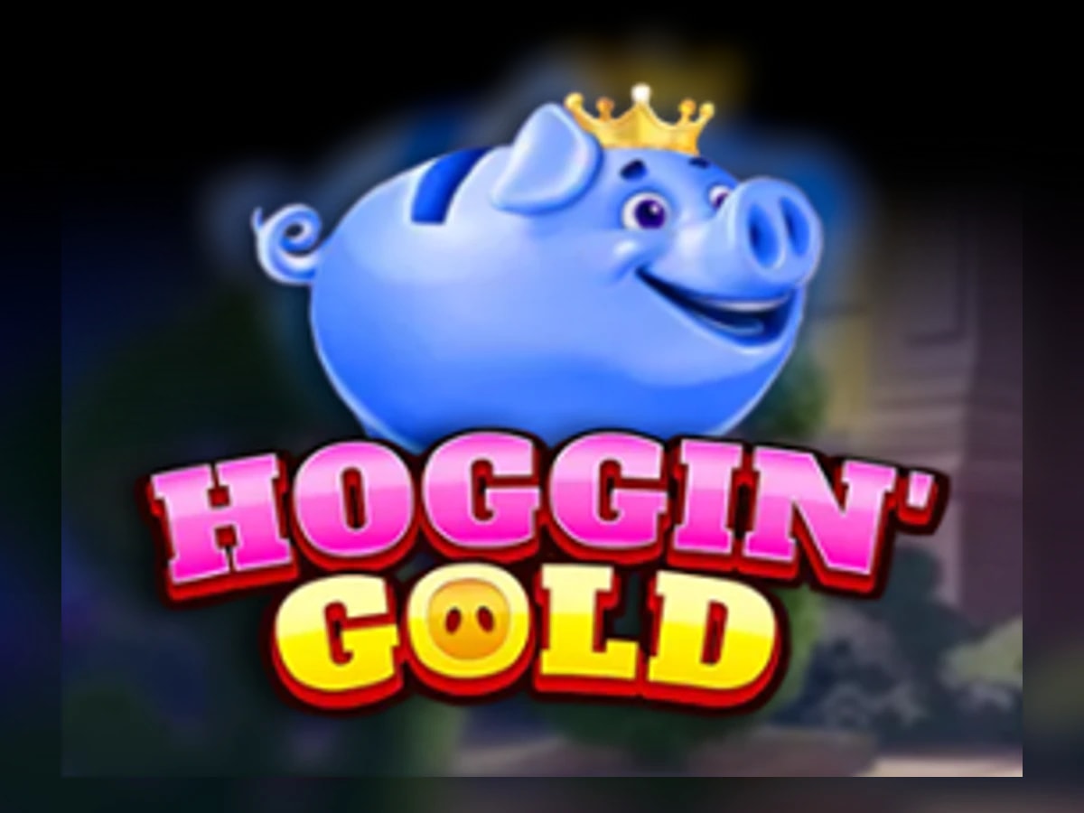 Hoggin' Gold slot game artwork