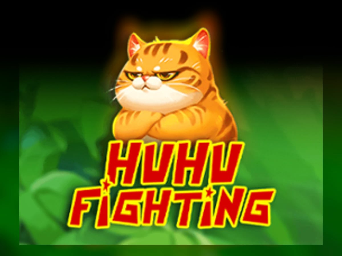 Hu Hu Fighting slot game artwork