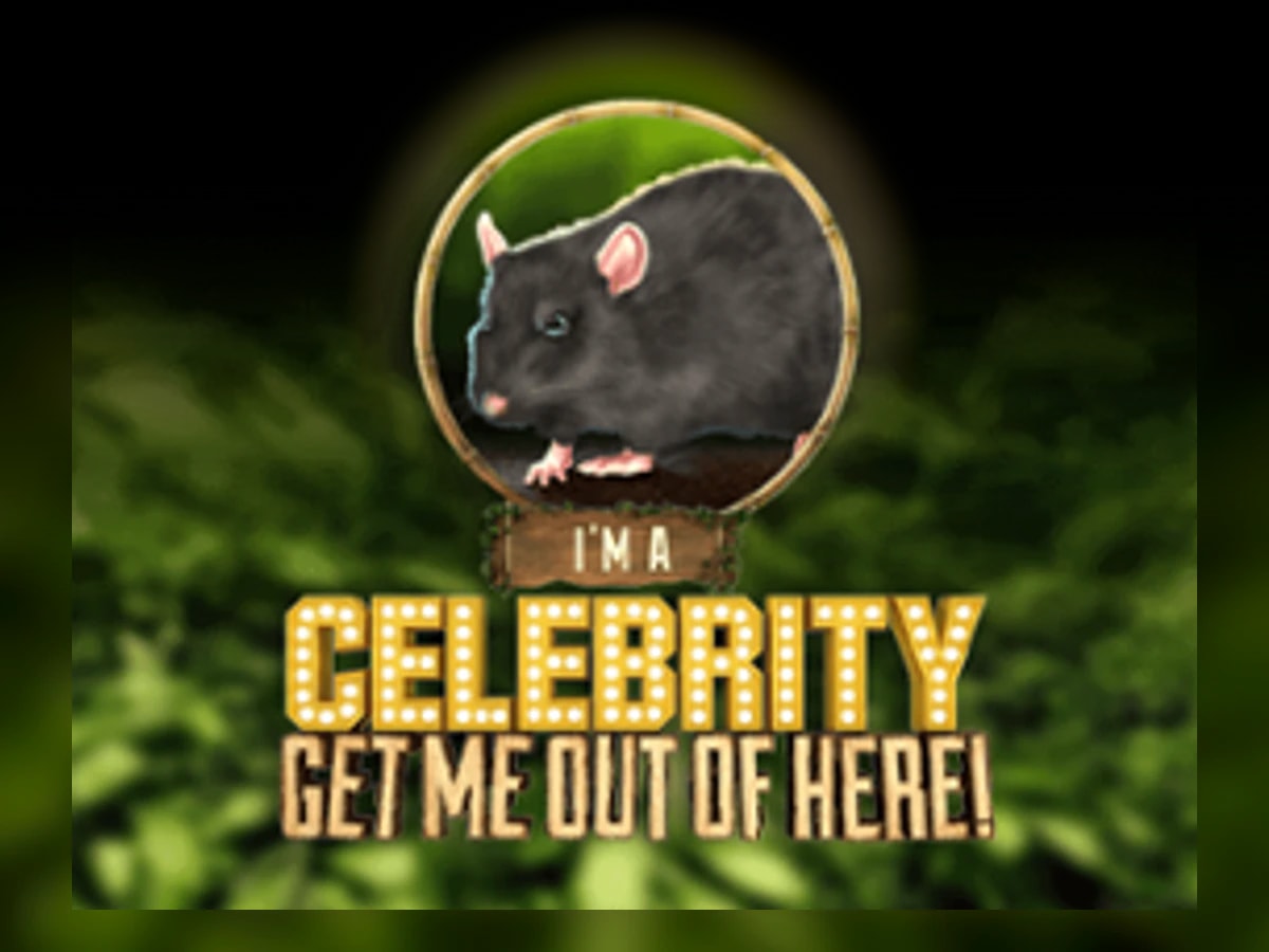 I'm a Celebrity Get Me out of Here slot game artwork