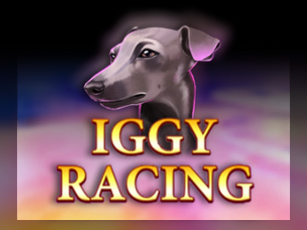 Iggy Racing slot game artwork