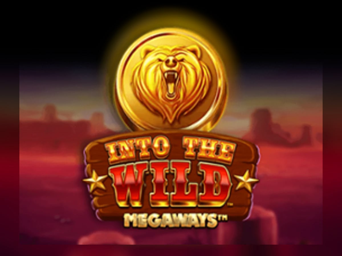 Into The Wild Megaways slot game artwork