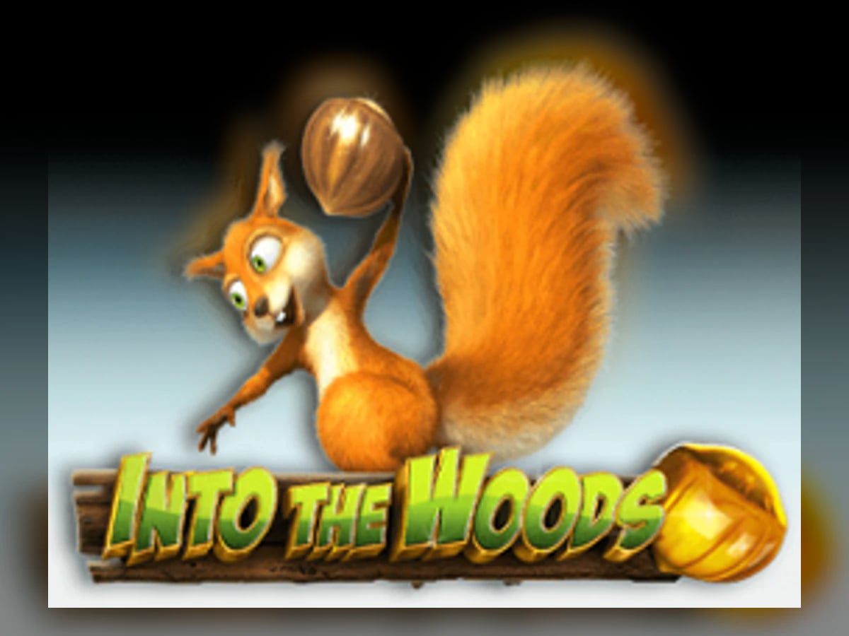 Into The Woods slot game artwork