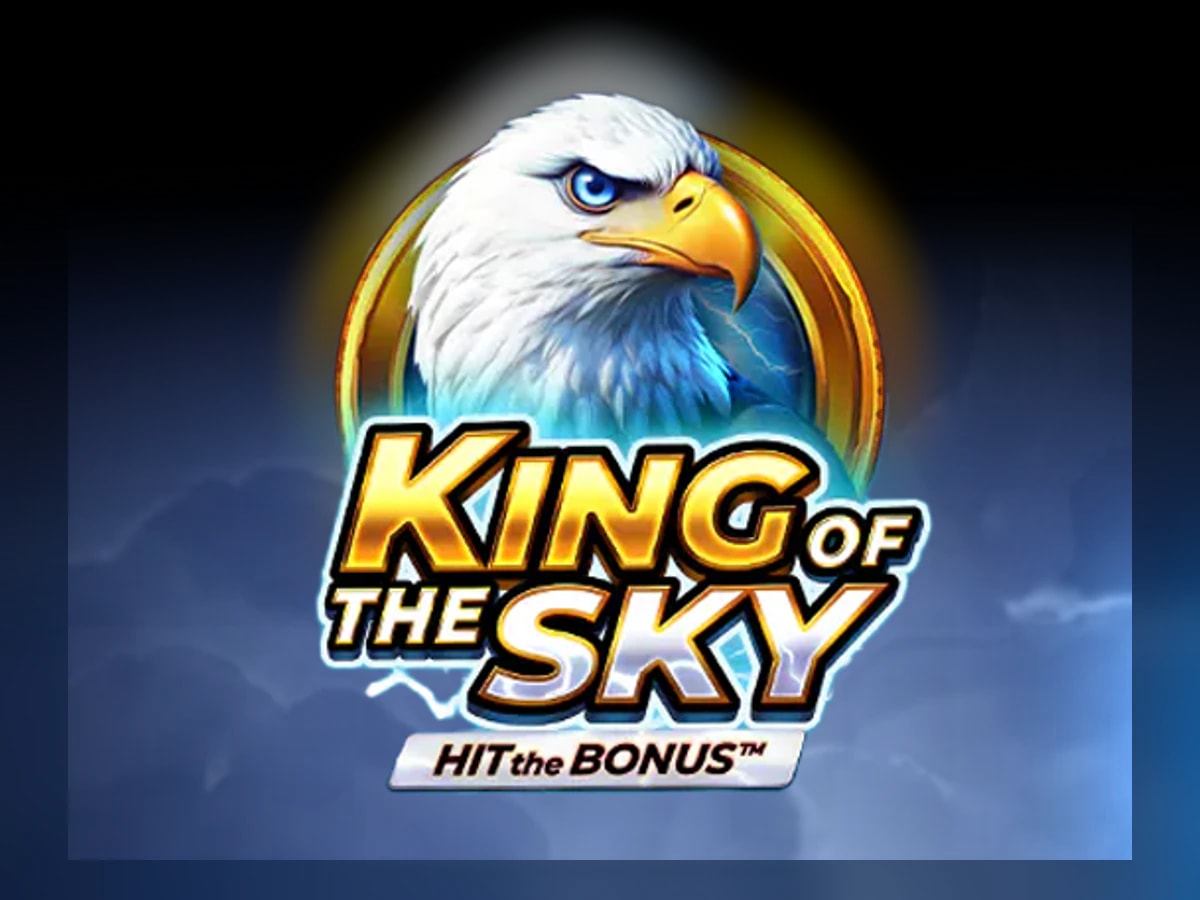 King of the Sky: Hit the Bonus slot game artwork