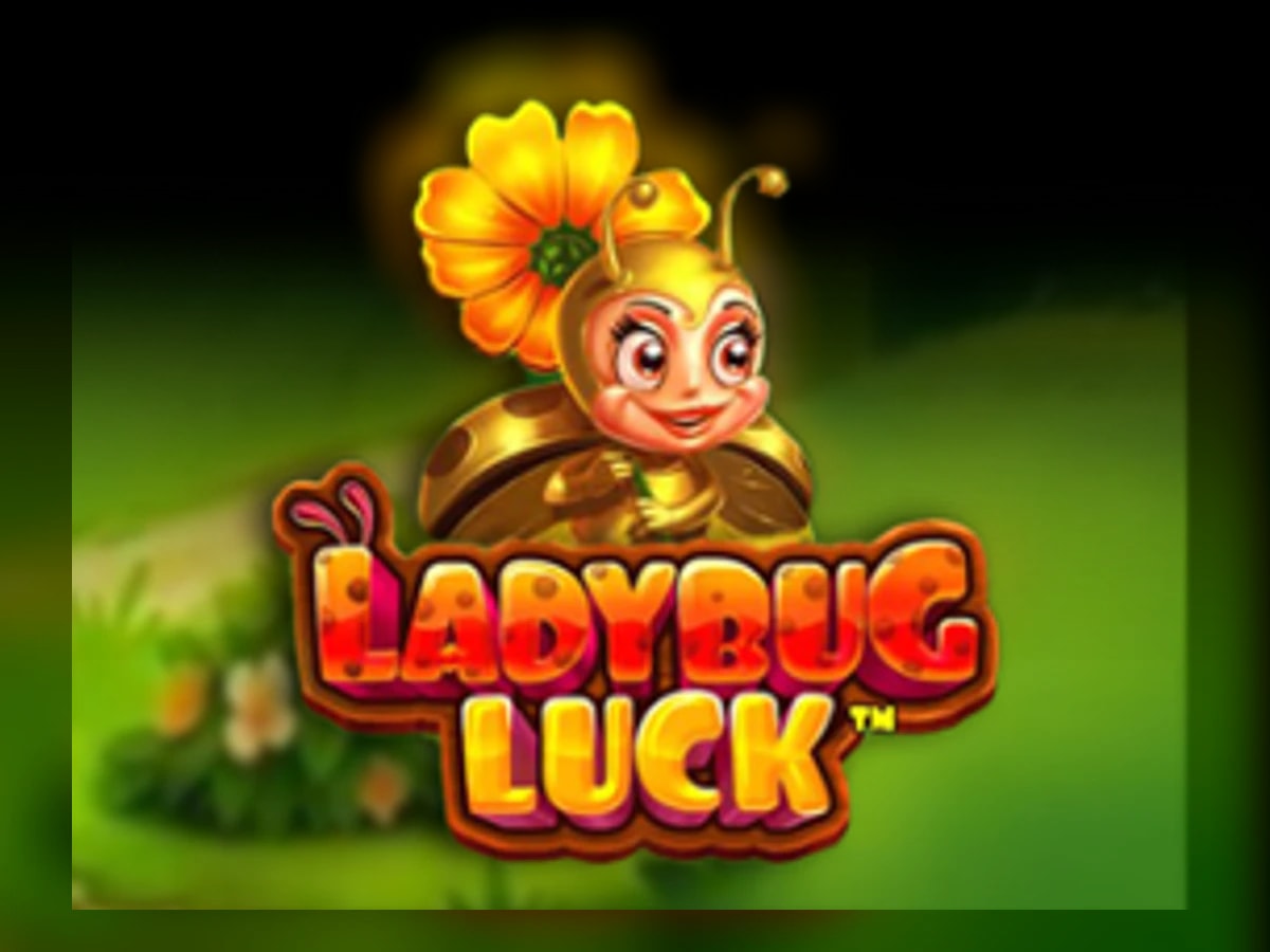 Ladybug Luck slot game artwork