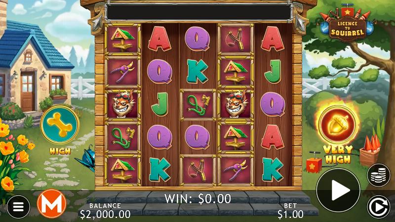 Licence To Squirrel slot game artwork