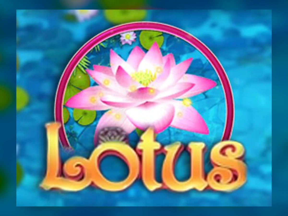 Lotus slot game artwork