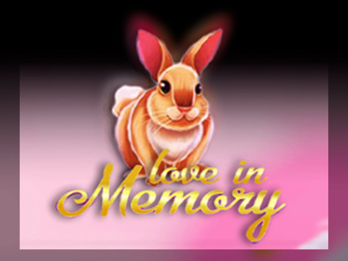 Love in Memory slot game artwork