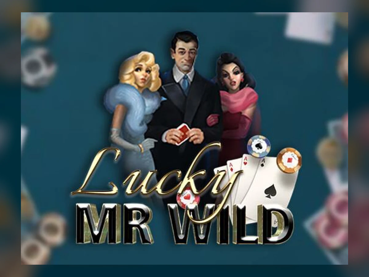 Lucky Mr Wild slot game artwork