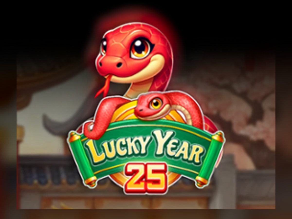 Lucky Year 25 slot game artwork