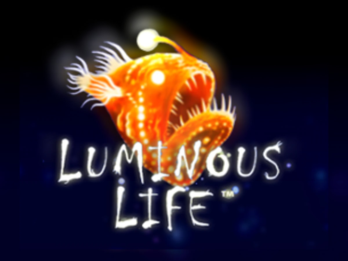 Luminous Life slot game artwork