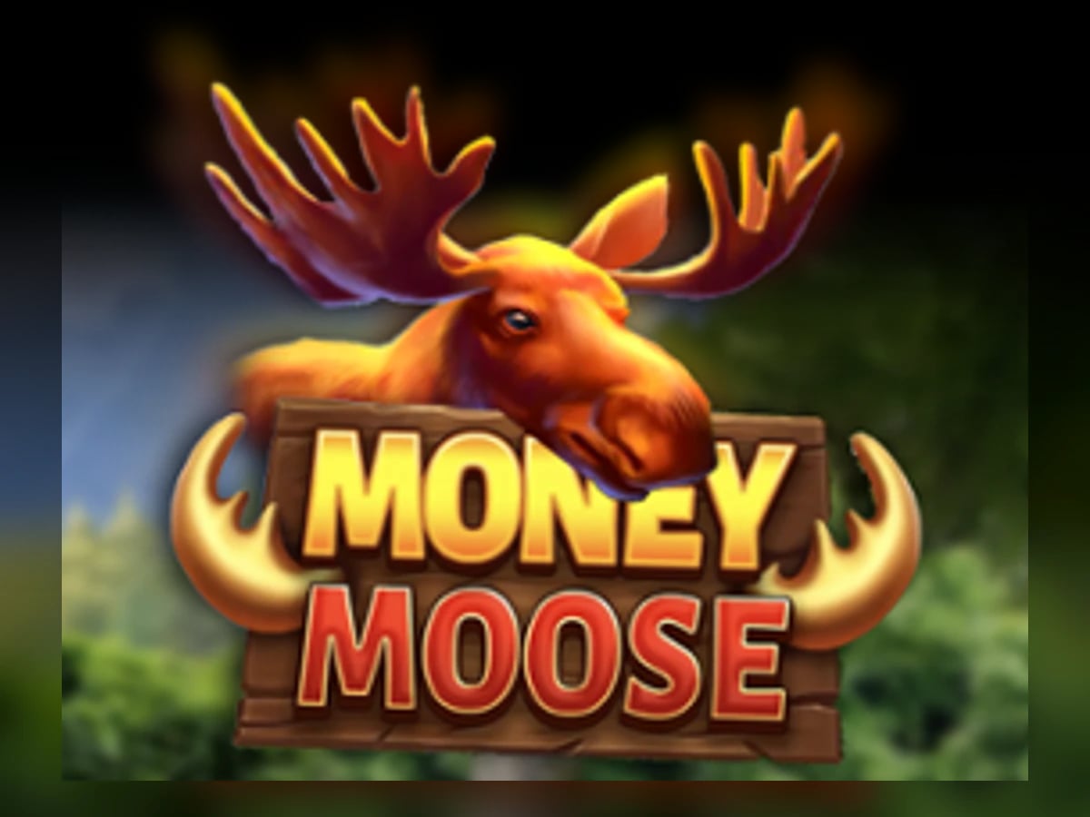 Money Moose slot game artwork