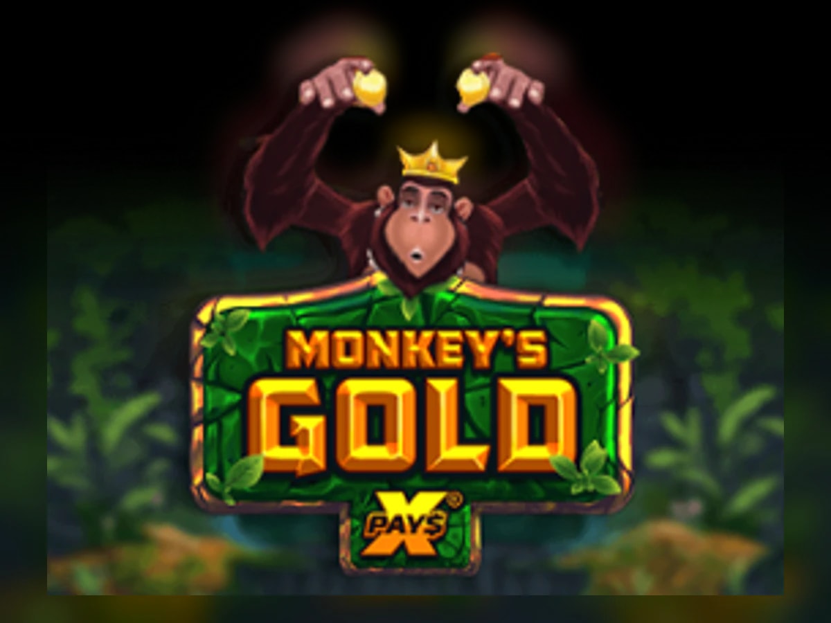 Monkeys Gold Xpay slot game artwork