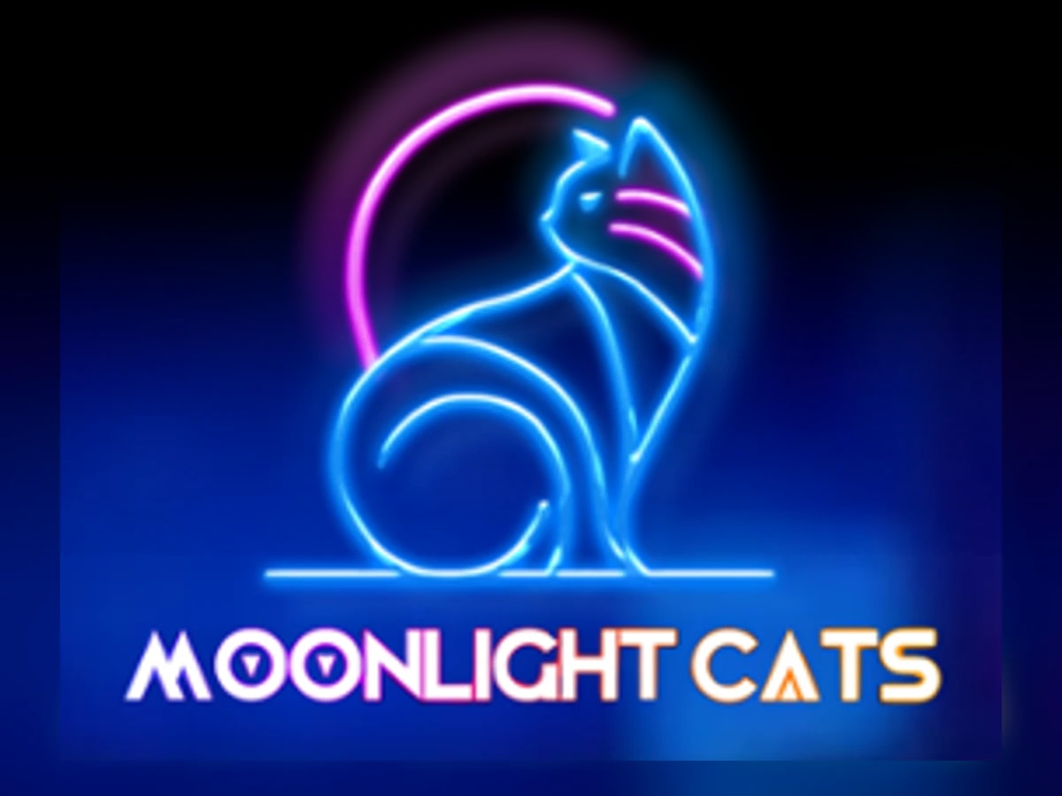 Moonlight Cats slot game artwork