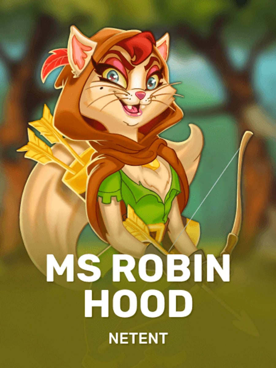 Ms Robin Hood slot game artwork
