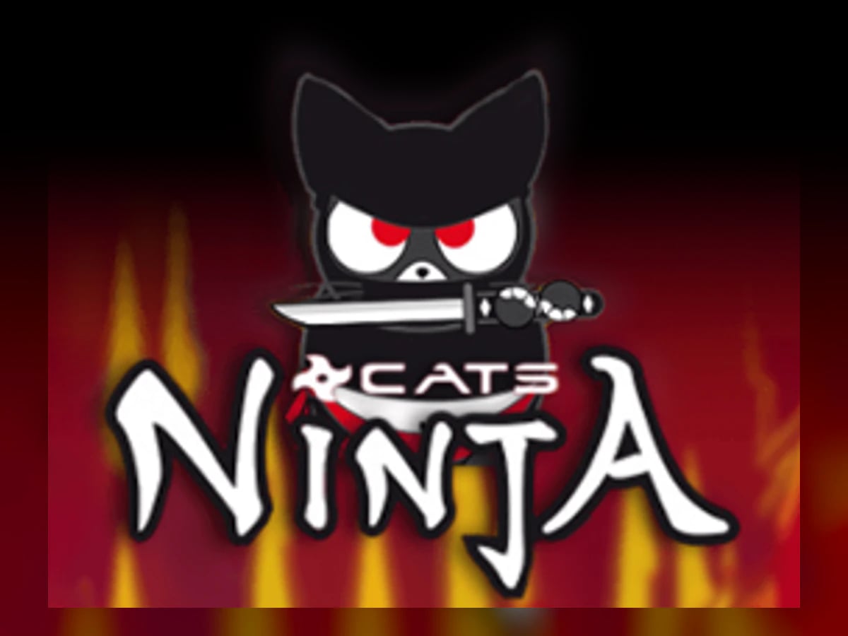 Ninja Cats slot game artwork