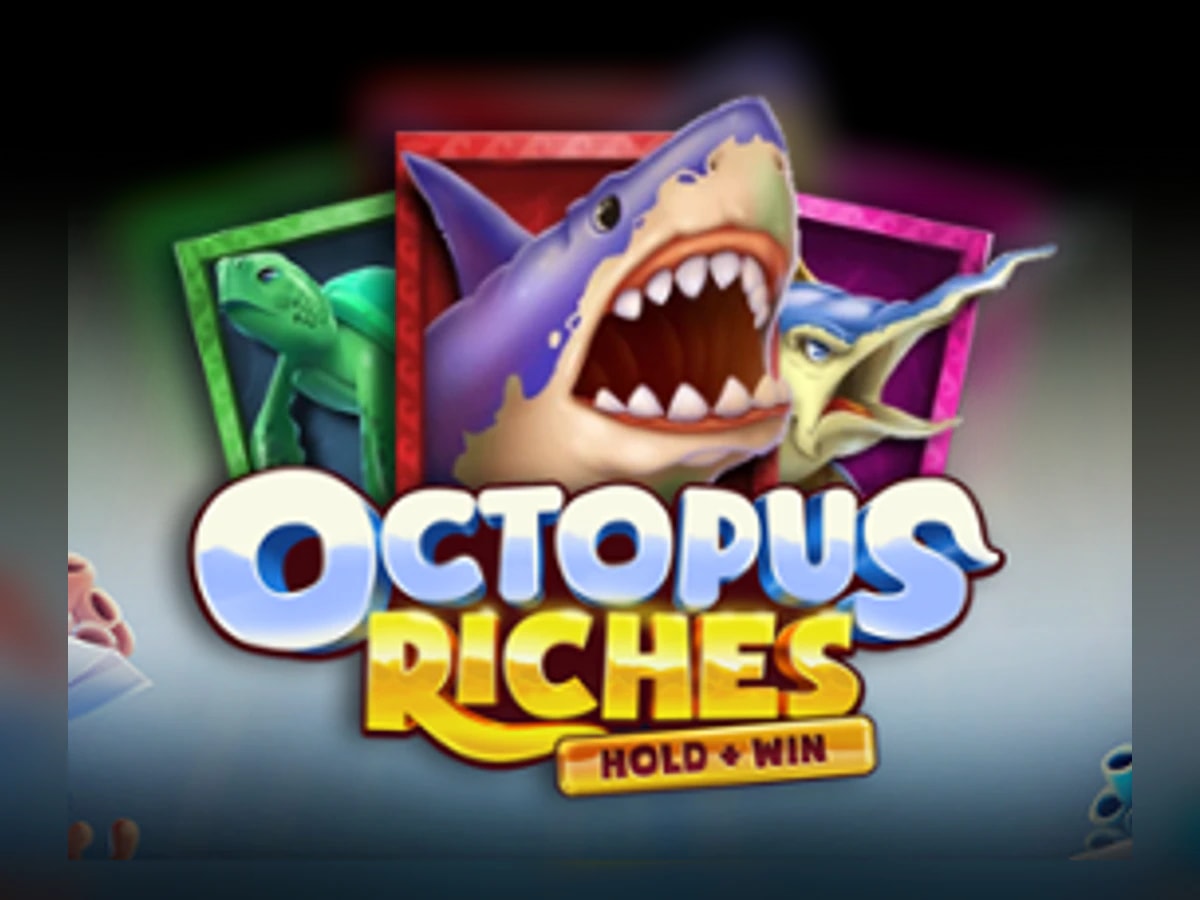 Octopus Riches slot game artwork