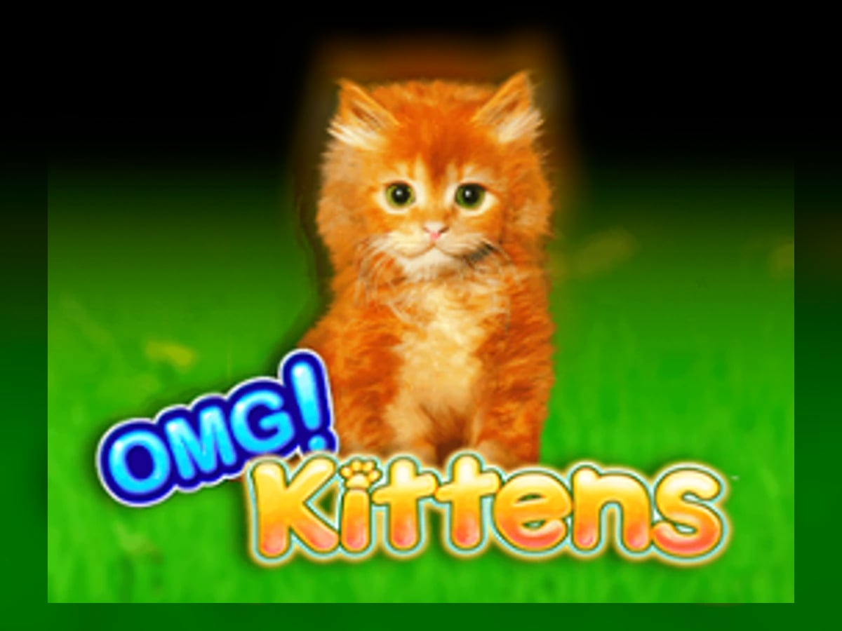 OMG! Kittens slot game artwork