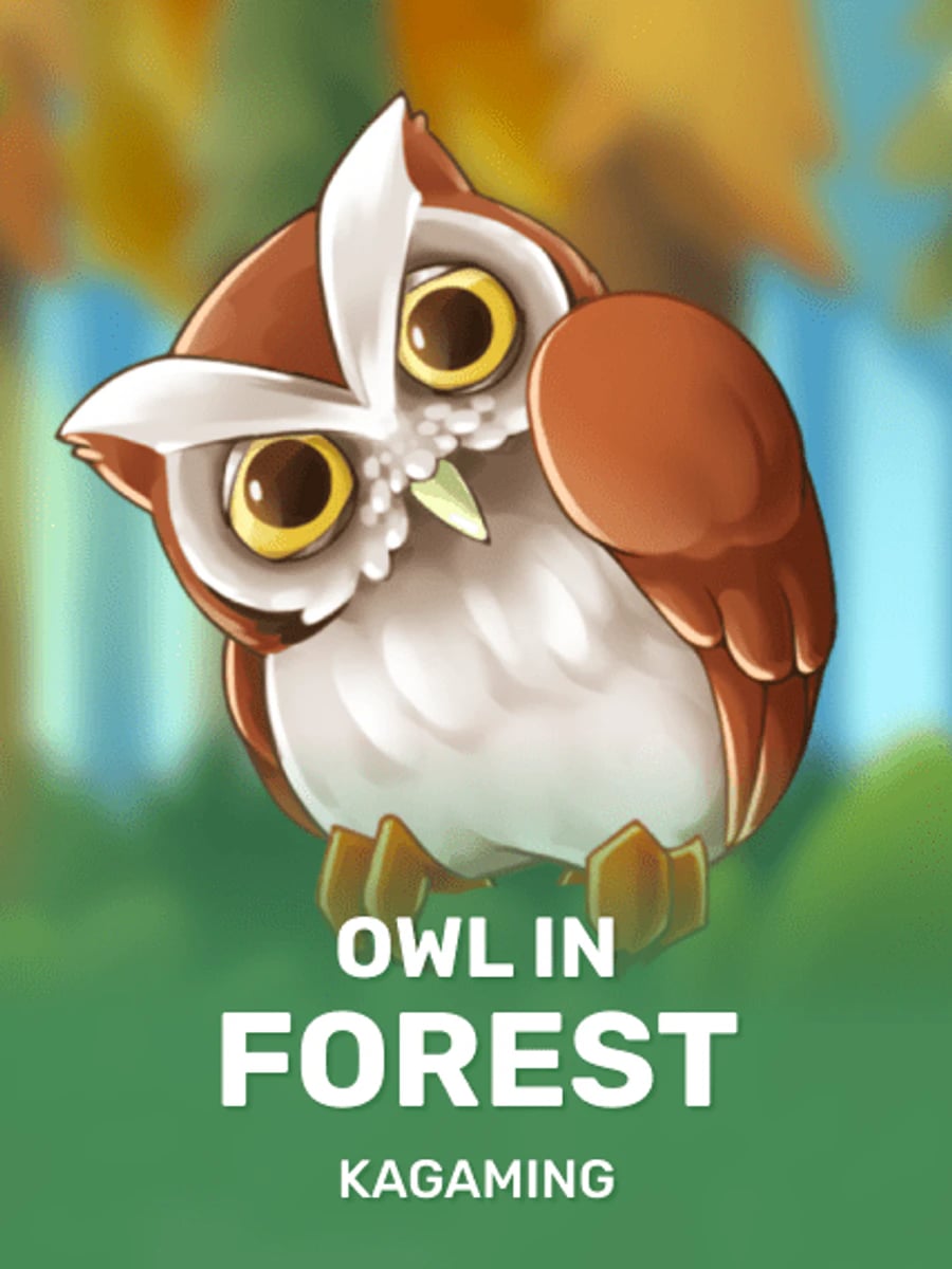 Owl In Forest slot game artwork
