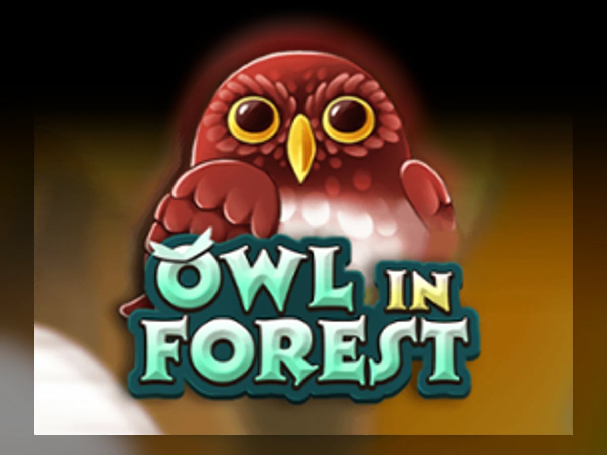 Owl In Forest slot game artwork