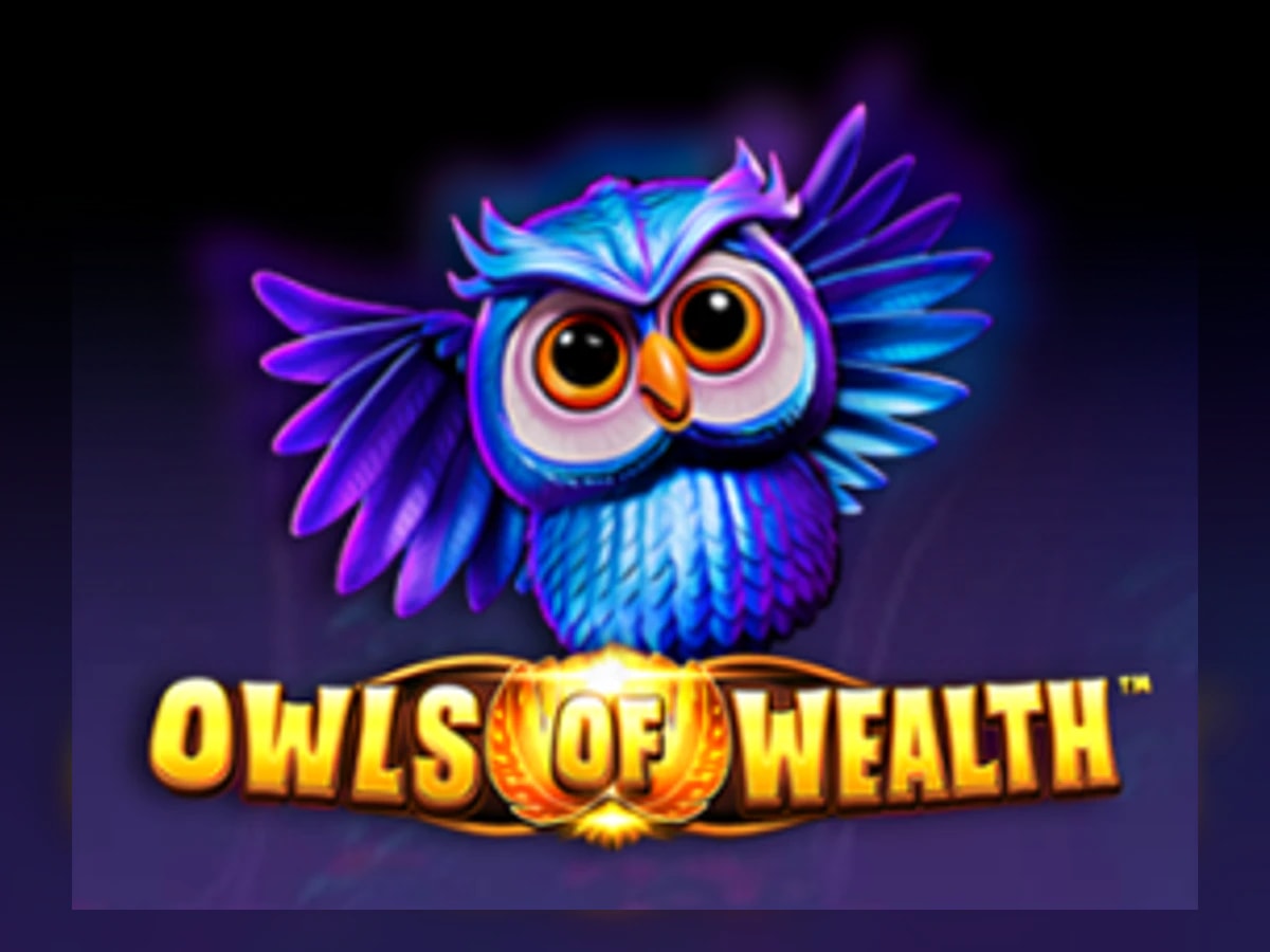 Owls of Wealth slot game artwork