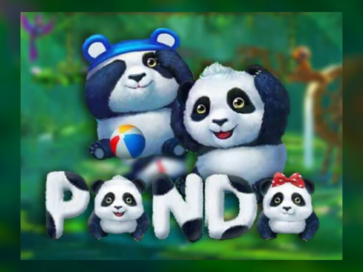 Panda slot game artwork