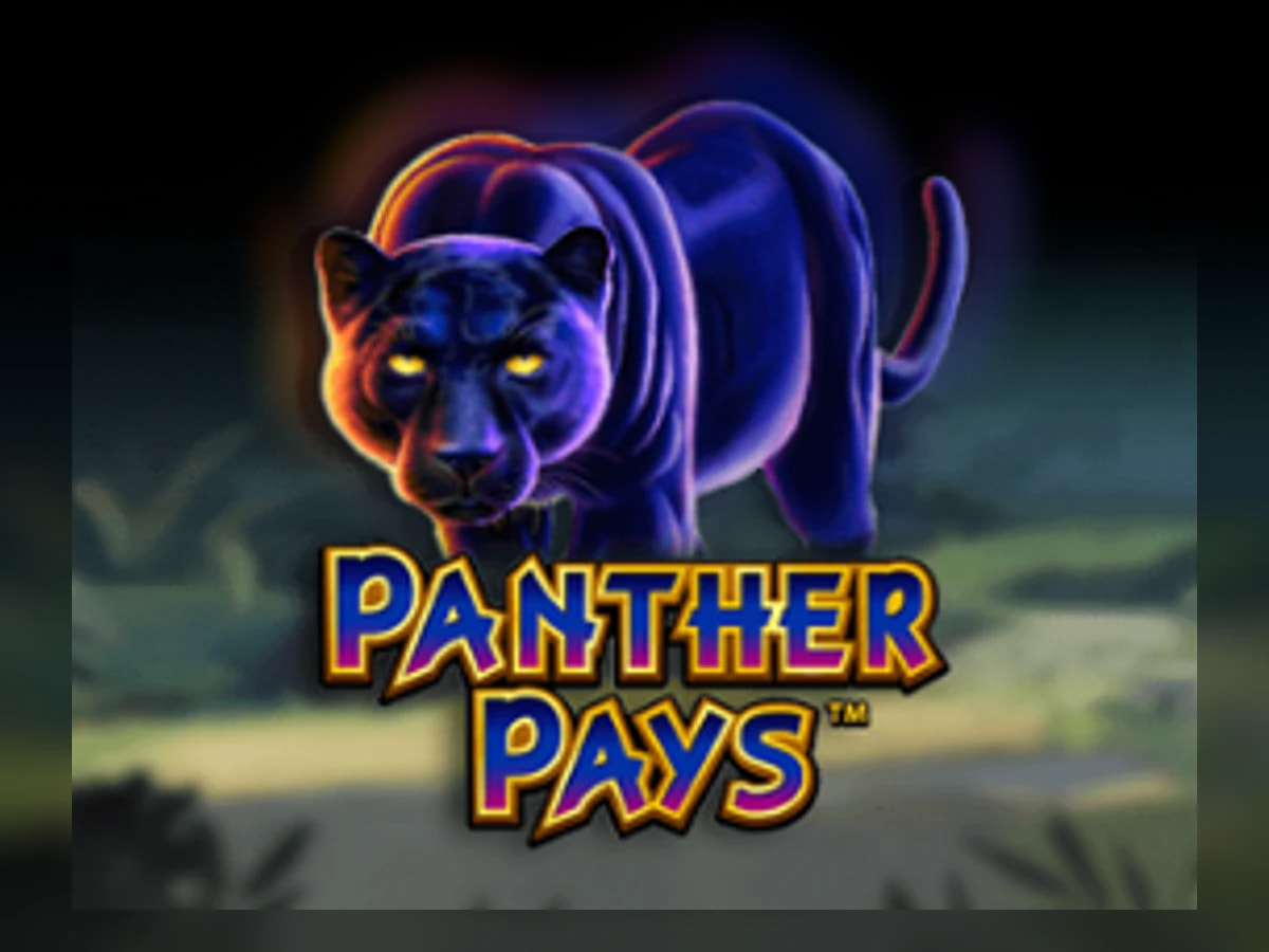 Panther Pays slot game artwork