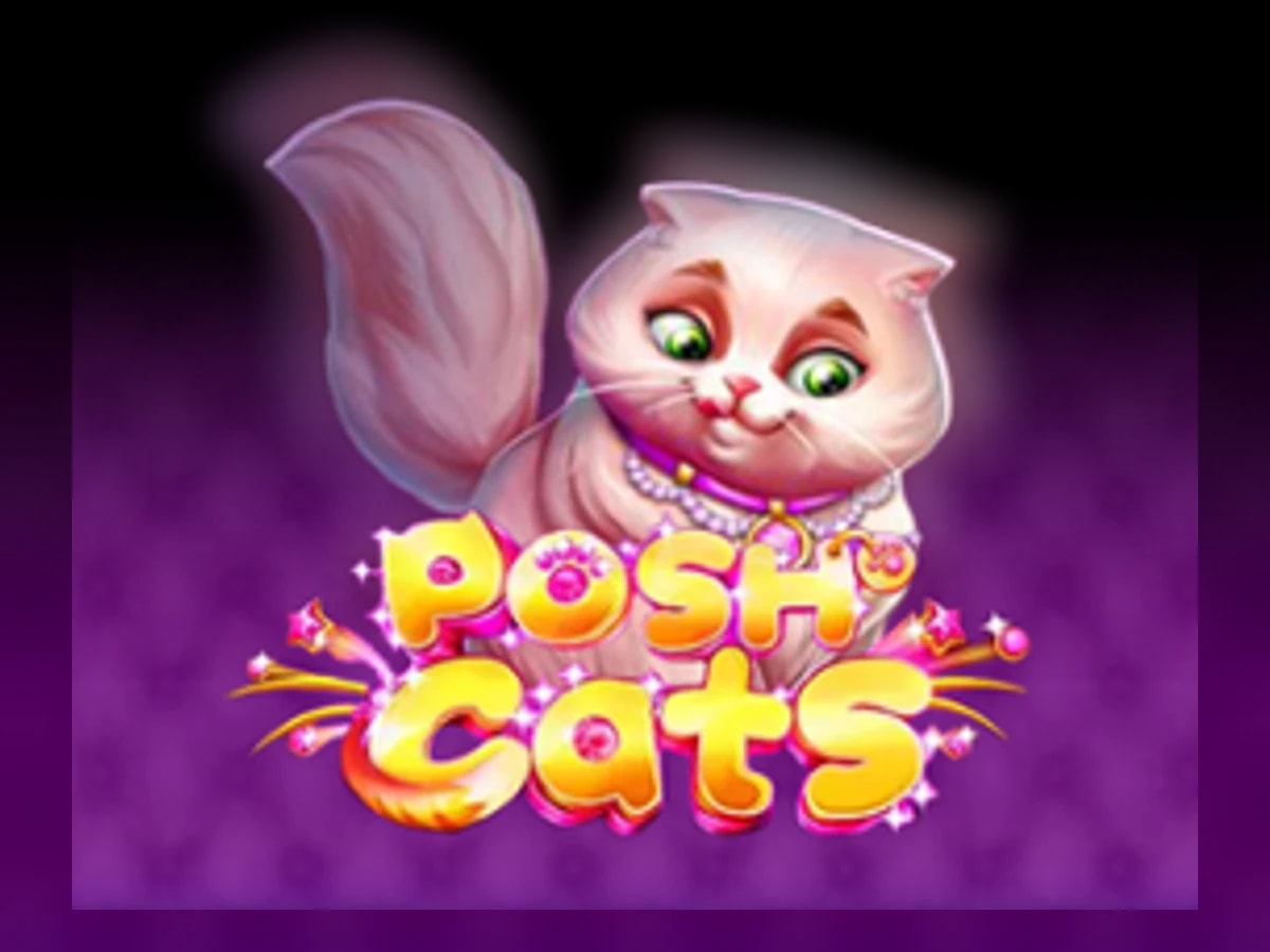 Posh Cats slot game artwork