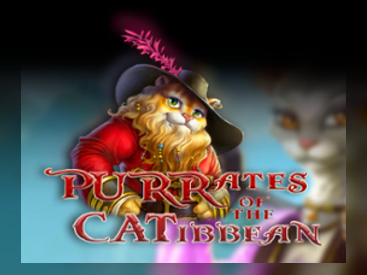 Purrates of the Catibbean slot game artwork
