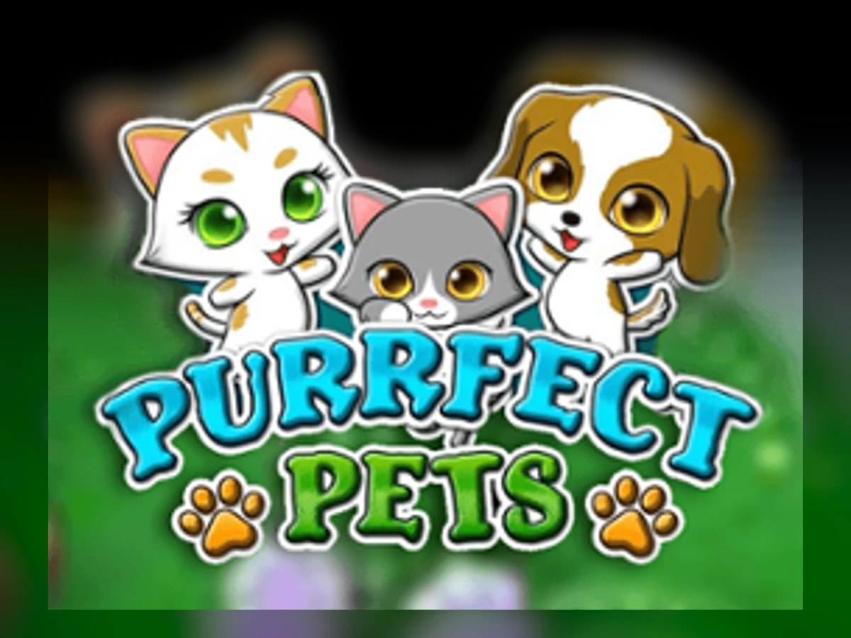 Purrfect Pets slot game artwork