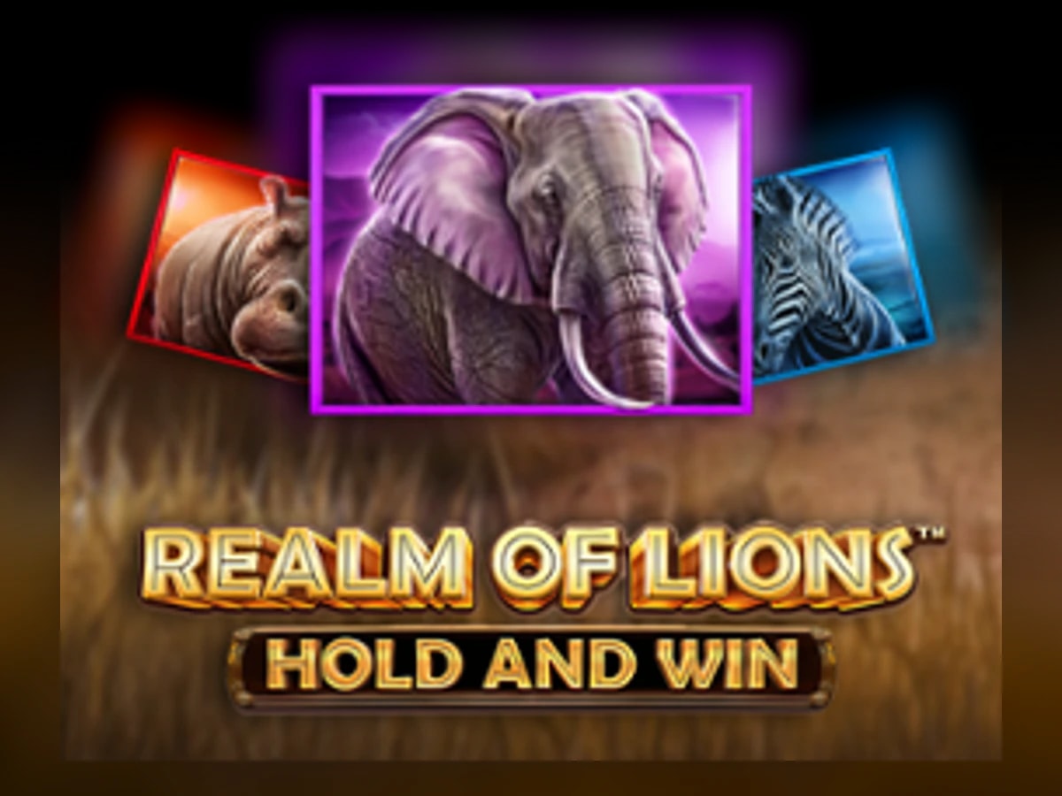 Realm of Lions slot game artwork
