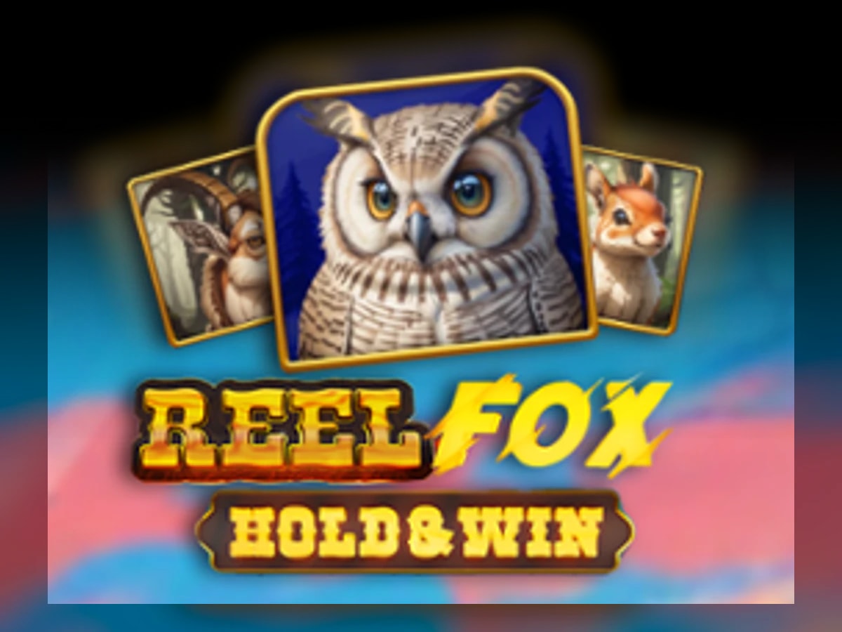 Reel Fox slot game artwork