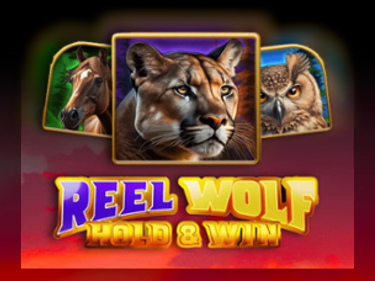 Reel Wolf slot game artwork