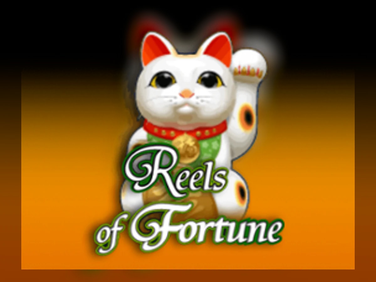 Reels of Fortune slot game artwork