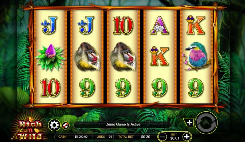 Rich N Wild slot game artwork