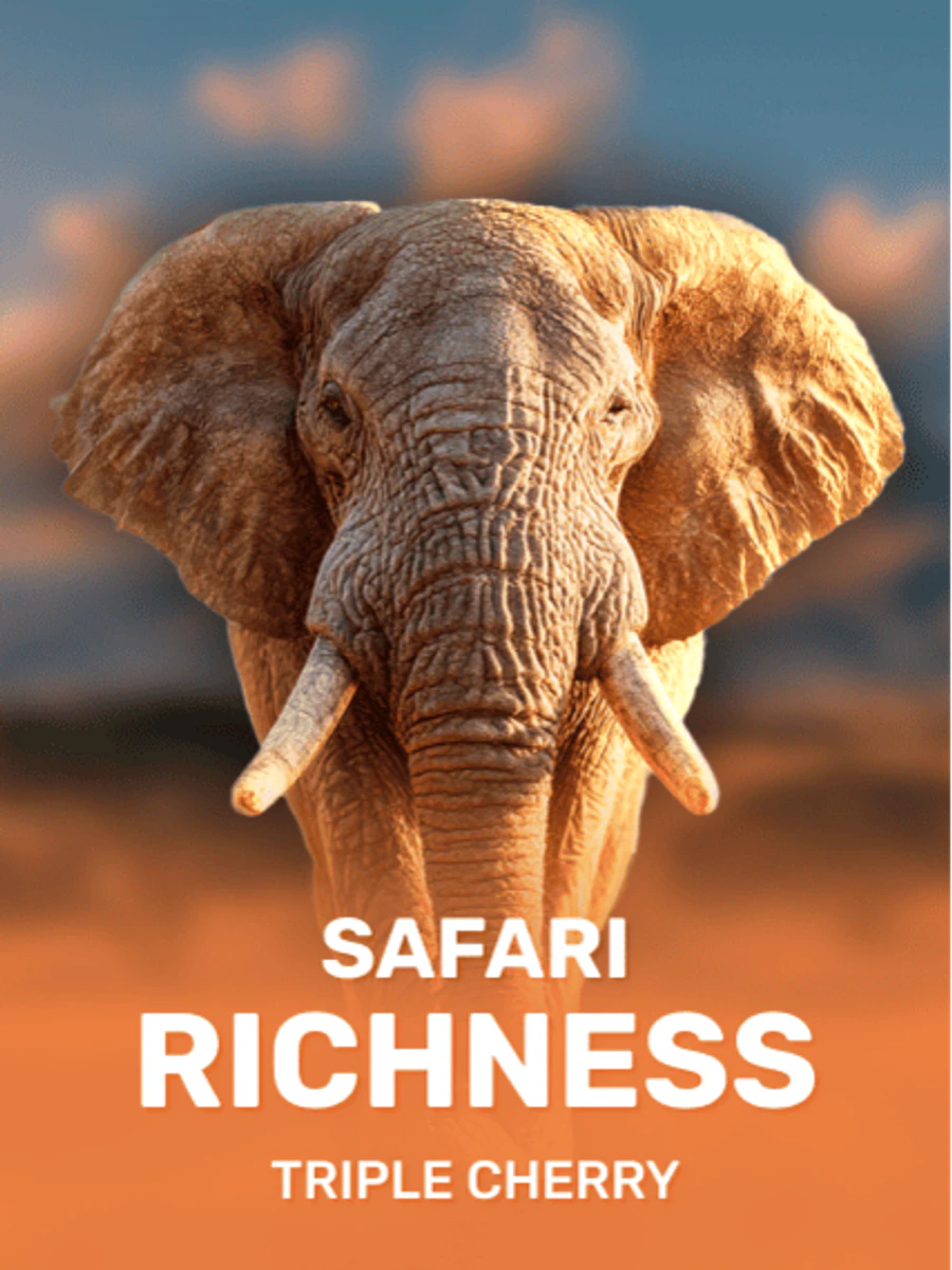 Safari Richness slot game artwork