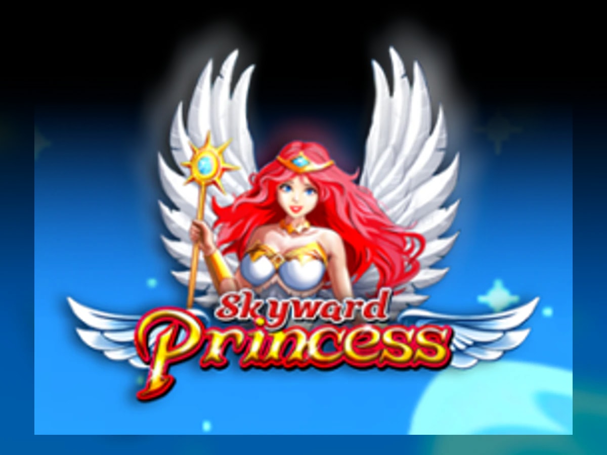 Skyward Princess slot game artwork