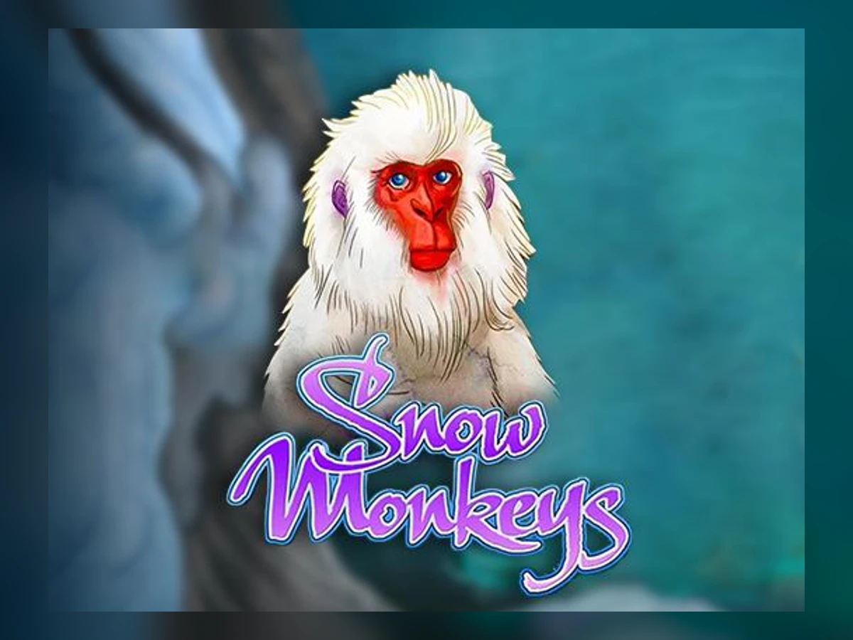 Snow Monkeys slot game artwork
