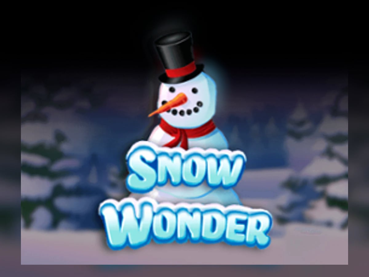 Snow Wonder slot game artwork